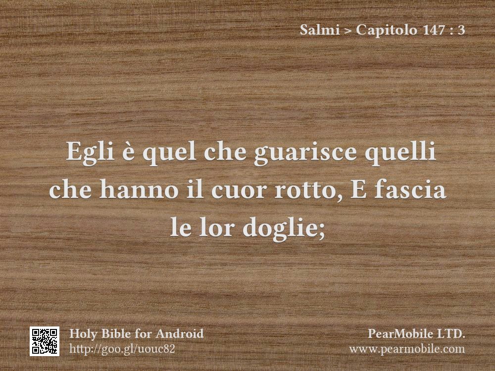 Salmi, Capitolo 147:3